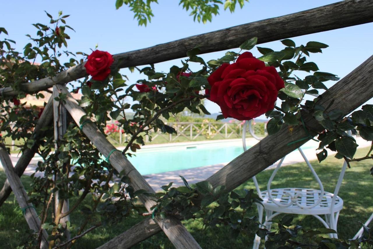 Вілла Agriturismo La Paciarella Campiglia d'Orcia Екстер'єр фото