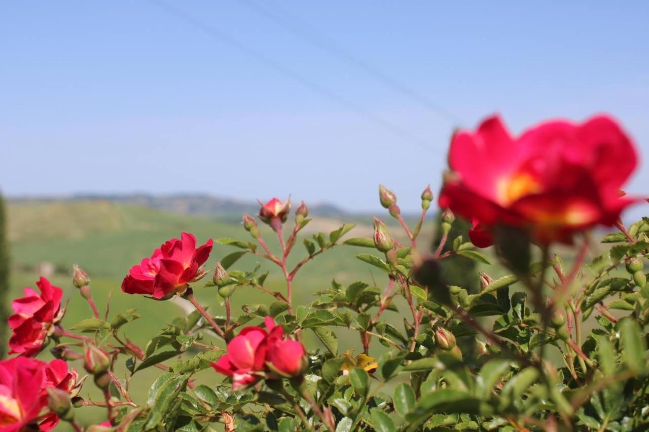 Вілла Agriturismo La Paciarella Campiglia d'Orcia Екстер'єр фото